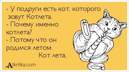 кот ле́та
