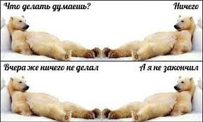 труба